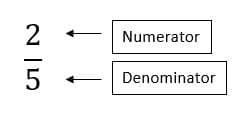 An image showing the numerator and denominator in a fraction