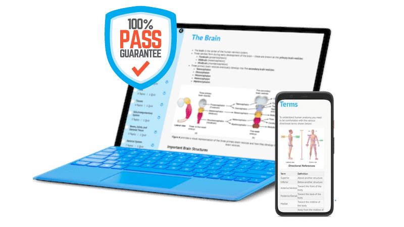 An image showing an overview of the BoostPrep HESI prep course